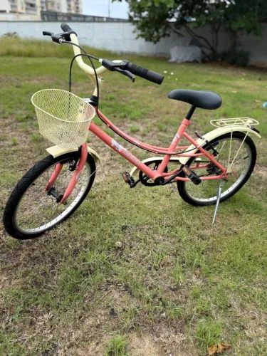 Bicicleta infantil 