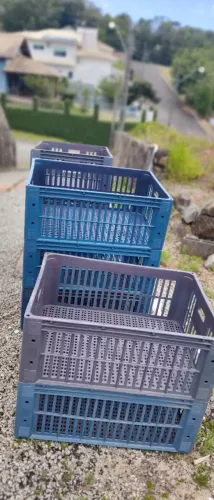 Caixa Plastica Grande Reforçada TOMITA excelente estado!