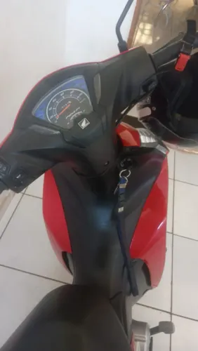 Vende se Bis 2024