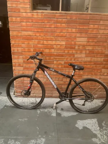 Bike Martin aro 29