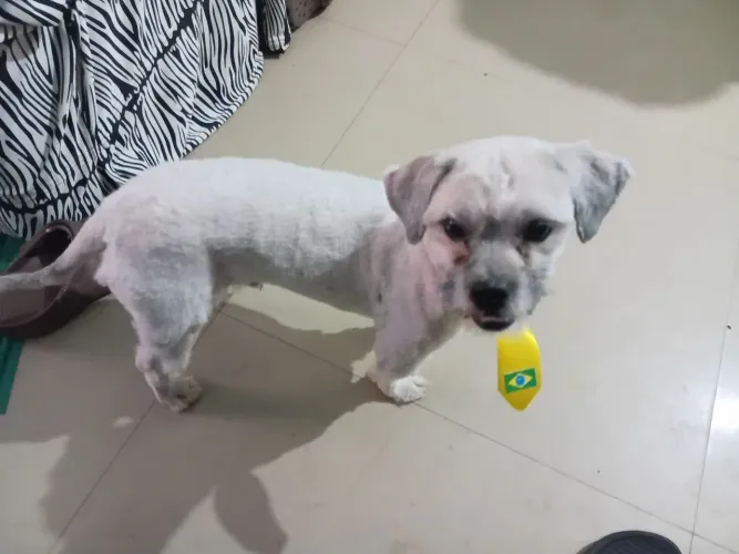 Doação