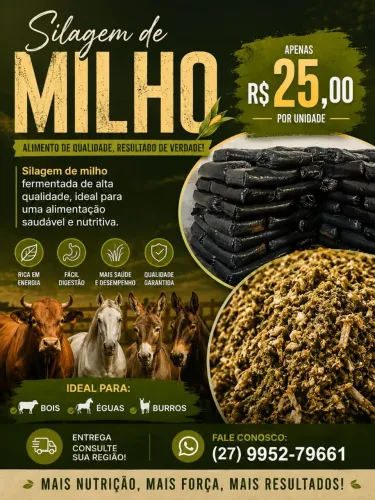 Silagem de cavalo