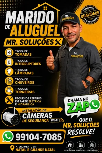 Marido de Aluguel/ Mr. Soluções