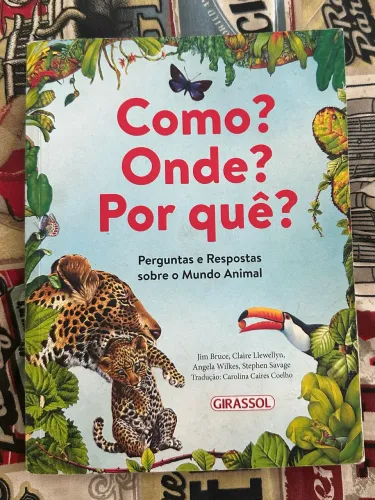 Como? Onde? Por quê?