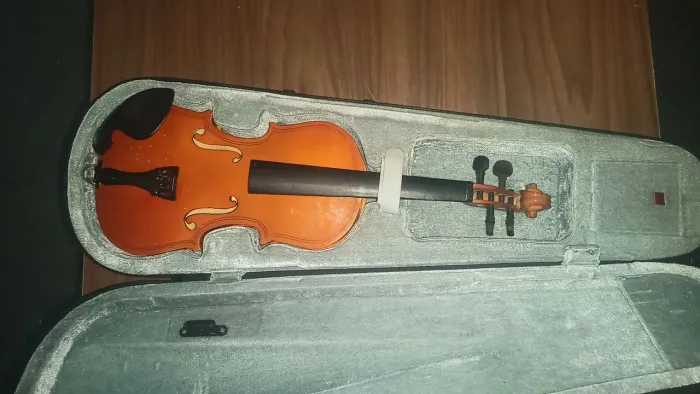 Violino