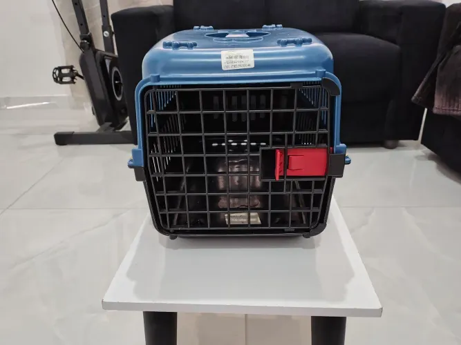 Transporte de cachorro n°01 super novo 
