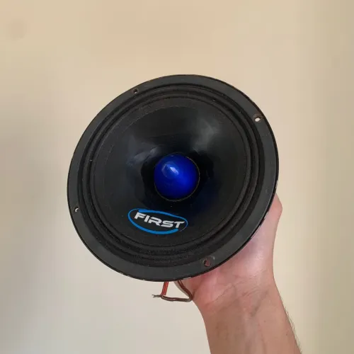 Alto falante 110w rms / 220w rms o par!