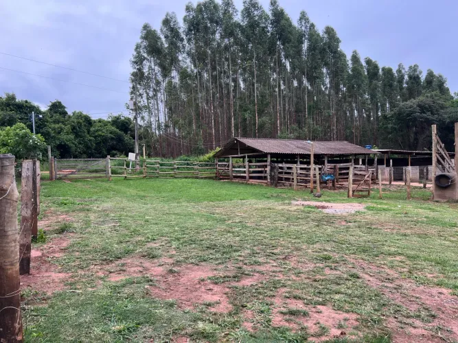 Alugo ou vendo sítio - 20km de Udi