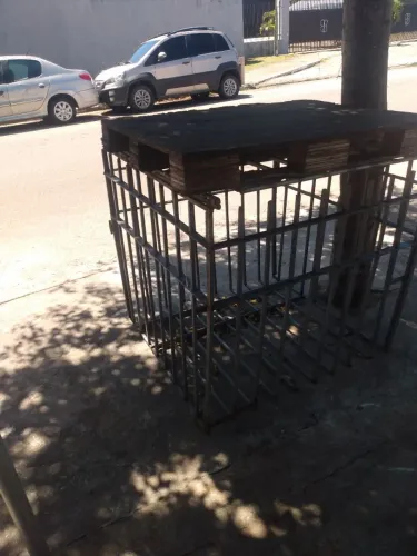 Gaiola para guardar coco Verde
