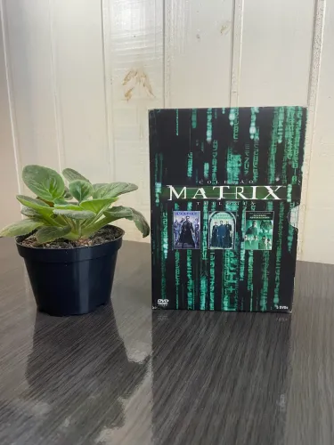 Box DVD Trilogia Matrix - Original - Bom Estado