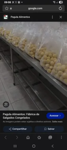 Salgados congelados r$ 1,00