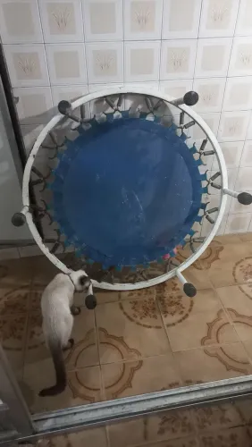Cama elástica
