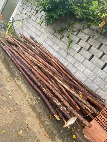 Escoras de eucalipto 
