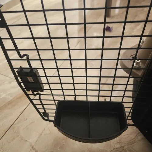Caixa Pet para viagem