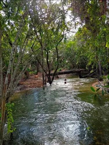 SITIO NO BOINTENTO  A VENDA 