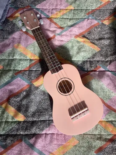 ukulele shelter rosa
