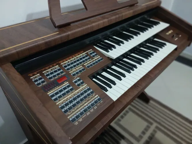 Órgão (tokay) Organist YX-300 ll