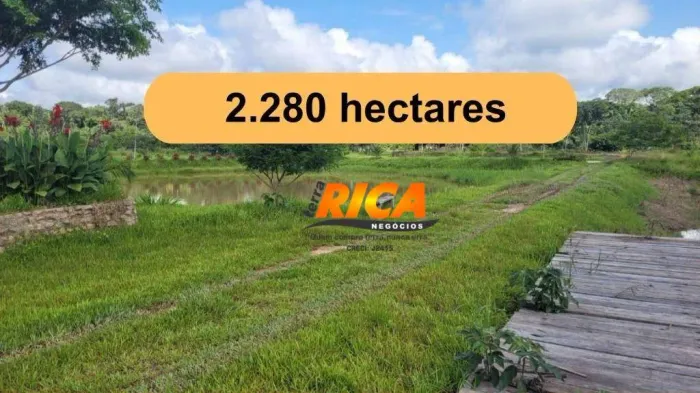 Vende-se uma excelente Fazenda às Margens da BR-319 Humaitá-AM