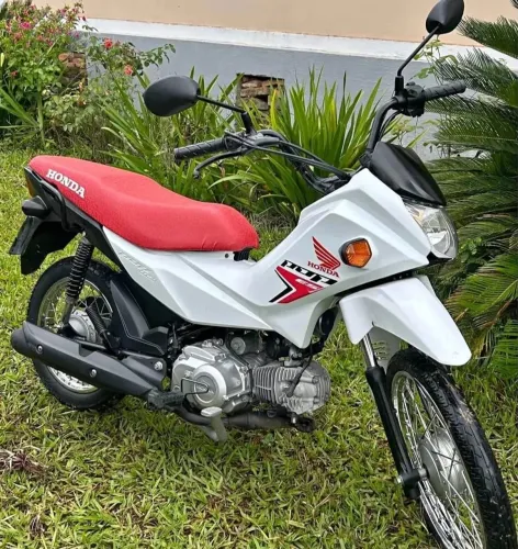 HONDA POP 2026