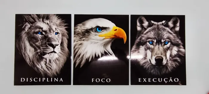 Trio de quadros de MDF
