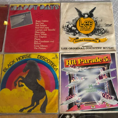 Lote com 8 LPS - Vinil