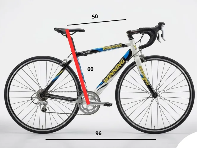 BICICLETA SPEED WINNING