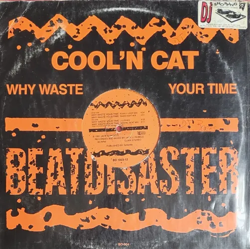 Vinil Importado Cool'n Cat - Why Waste Your Time 