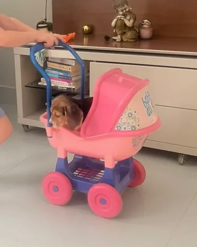 Carrinho de boneca