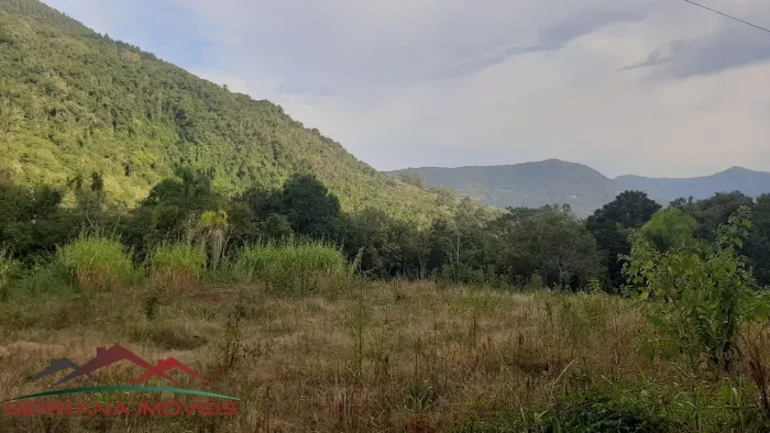 AREA RURAL em Nova Petrópolis - RS, Linha Temerária