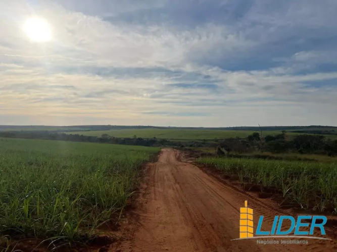 Fazenda à venda, Centro - Uberlândia/MG