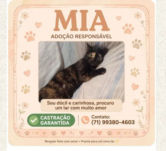 Gata