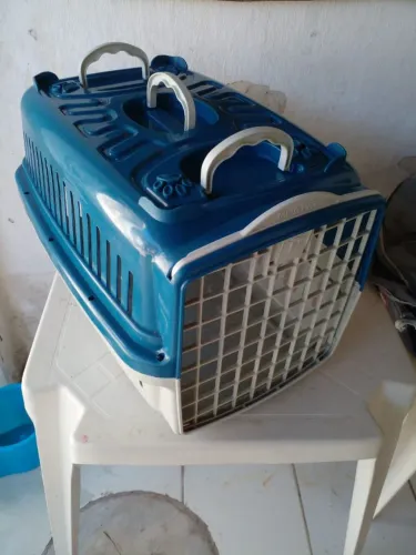 Oportunidade! Caixa para pet