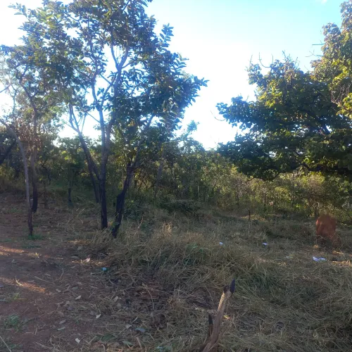 Lote em caetanopolis perto de balaios