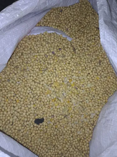 Soja em grãos 