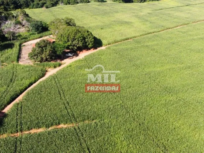 Fazenda em Figueirópolis - TO. Área Total: 177 Alqueires (856 Há)