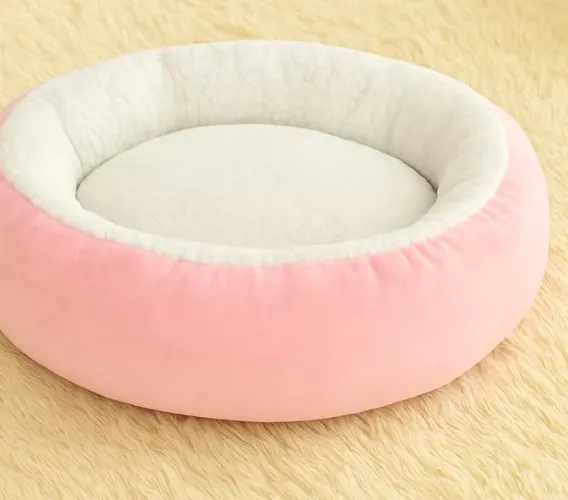 Caminha pet Carneirinho 