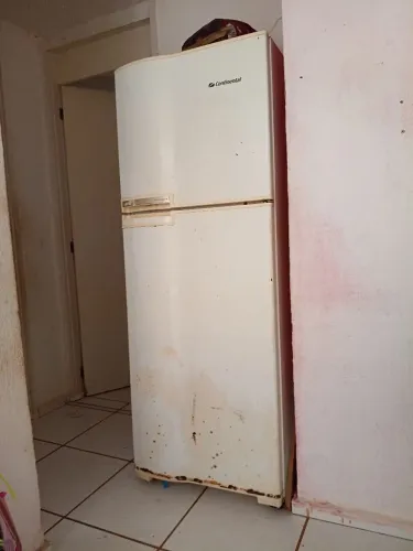 Geladeira duplex