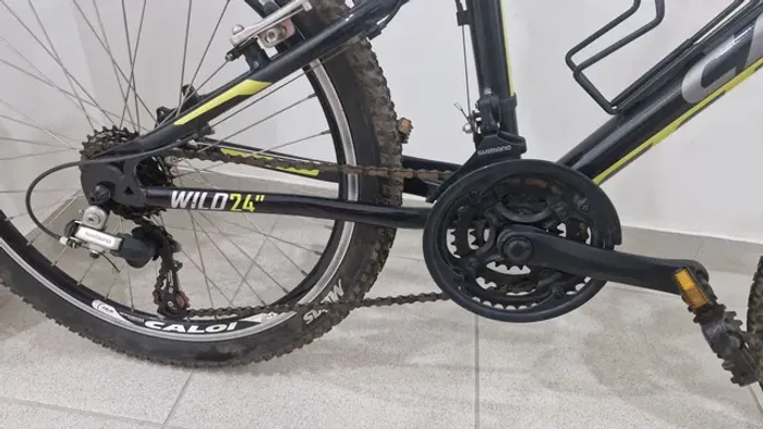 Caloi Wild aro 24 21v