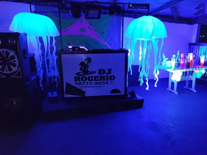 Dj para sua festa ser perfeita 