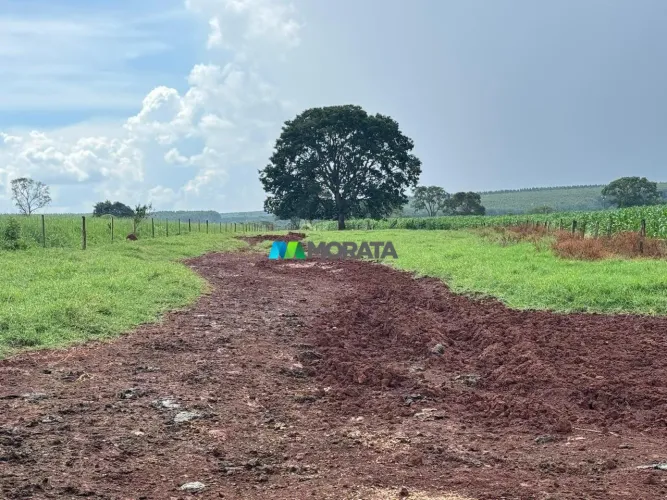 FAZENDA À VENDA - 105 HECTARES - FELIXLANDIA (MG)