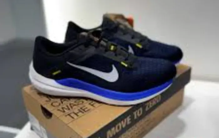 Tênis Nike winflo 10