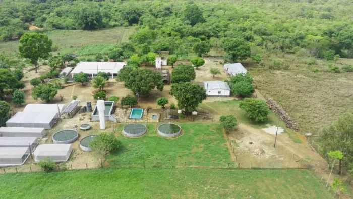 Propriedade Rural com Piscicultura e estrutura para criação de gado (leite/corte)