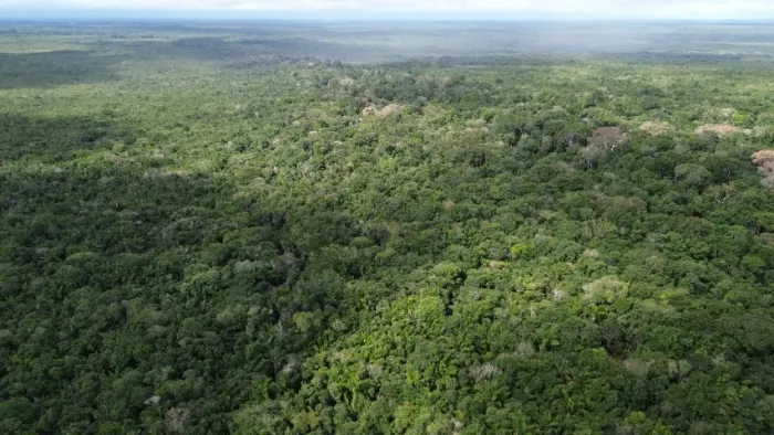 500x2500 região de Curuça por R$ 450 mil reais