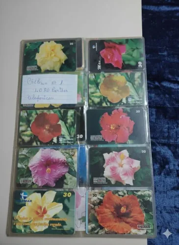 Cartões Telefônico completo