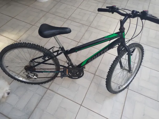 Bicicleta Hunter Aro 24