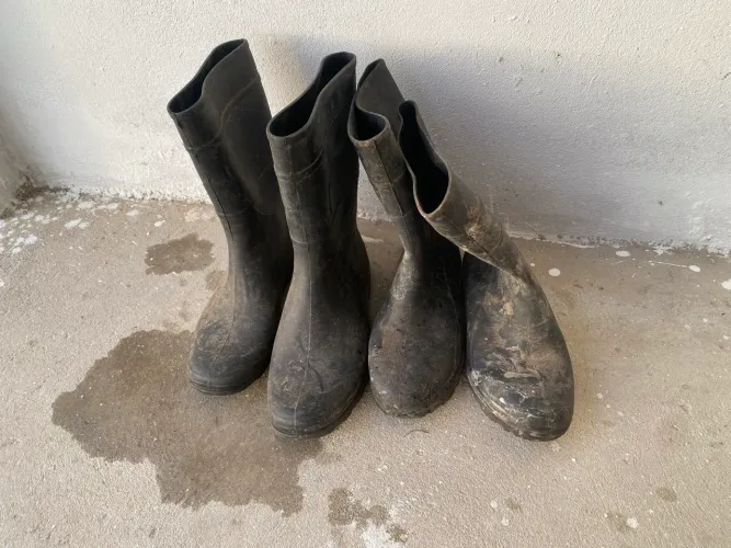 Botas de Borrachas 