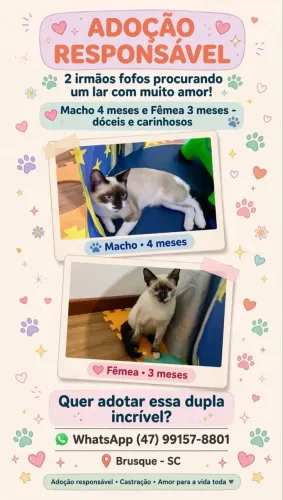 DOA- SE FILHOTES
