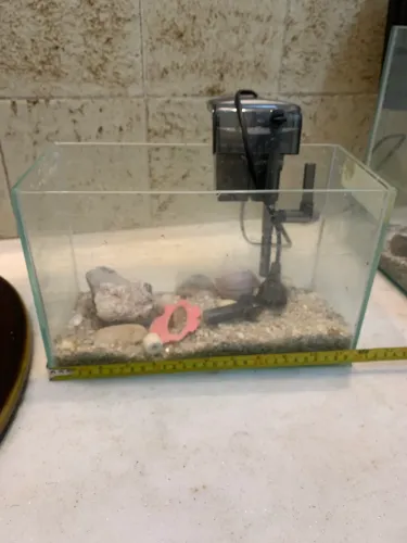 Aquario vídeo 30x15 cm 25 cm altura com bomba 