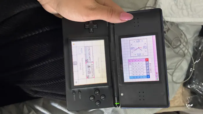 NINTENDO DS