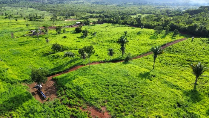 Propriedade Rural a Venda em Palmeiras-TO